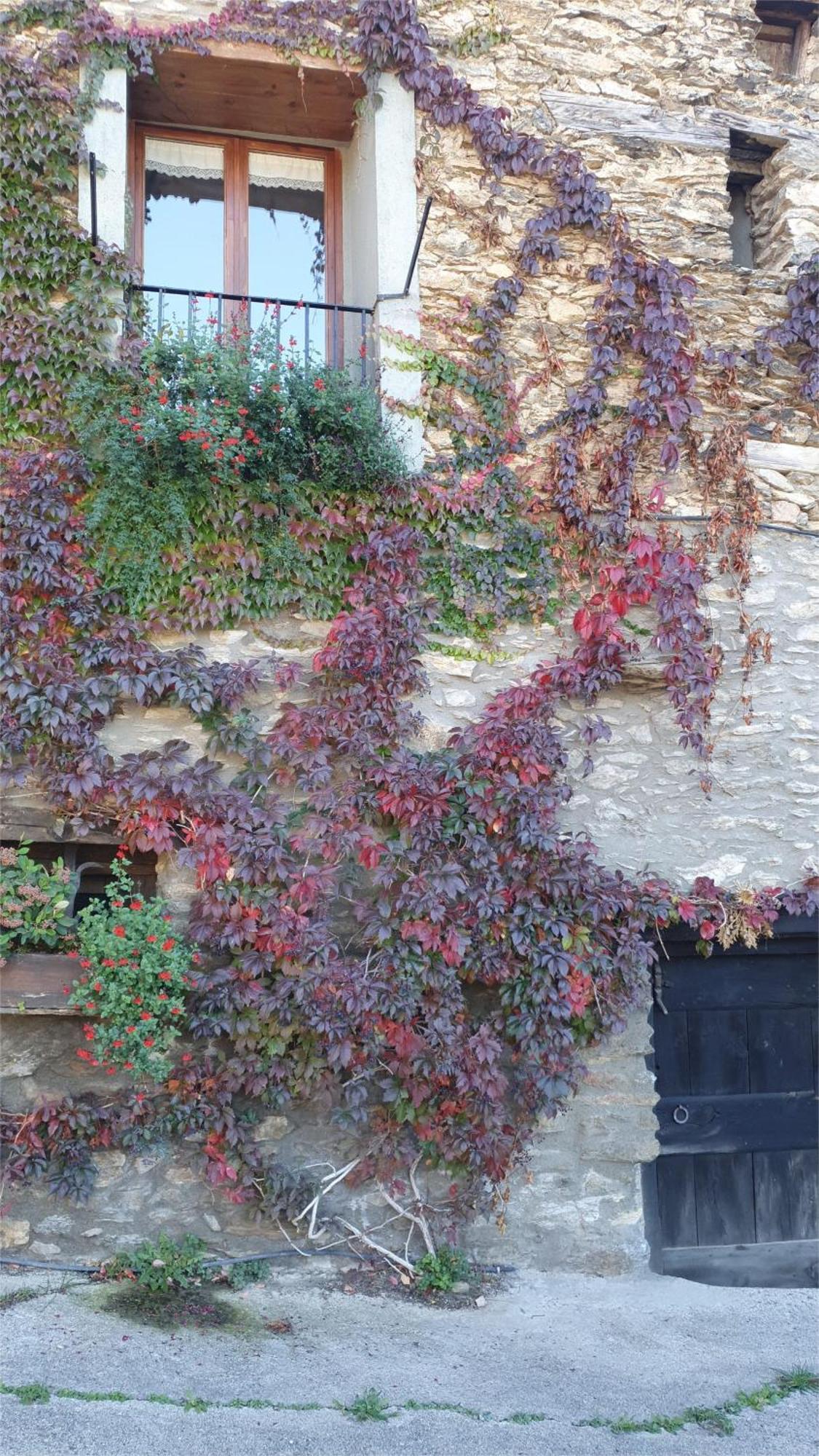 Casa di campagna Cal Gerard - *